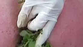 Nettles Ass Fisting Anal Outsert Nettles with Speculum
