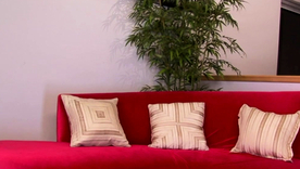 African American beauty Regina Spice gets rough treatment helter-skelter HD