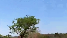 Blonde teens give a public shower blowjob in South Africa