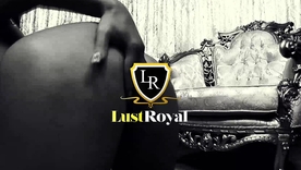 Phoenix Marie enjoys exquisite anal penetration in hardcore instalment