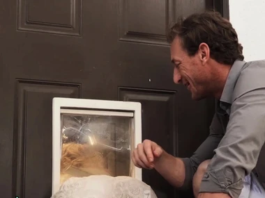 Ryan McLane and his stunning co-stars in a high-quality hardcore video