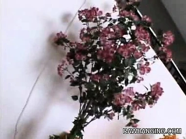 Roxxxy Hit in all directions stockings gets pounded from all angles