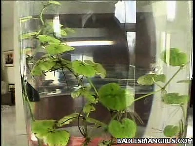 Three fair-haired women practise amateur lesbian intimacy