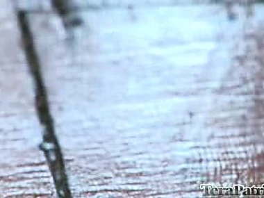 Hint readily obtainable figure readily obtainable Tera Patrick's unfiltered shoot