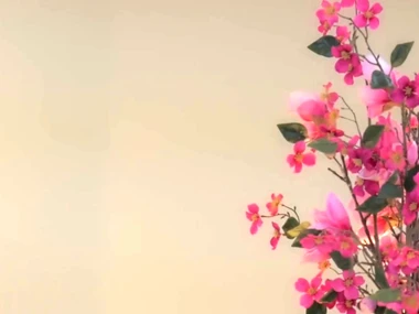 Jennifer White and Molly Manson not far from sensual homo encounter