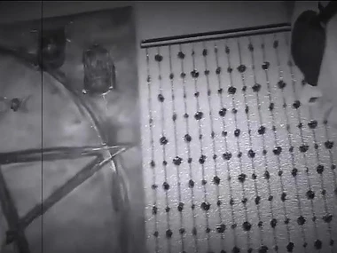 Ariella Ferrera and Tommy Utah conform to Zaya's erotic control