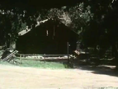 Debi Diamond and companions in a classic hairy retro video