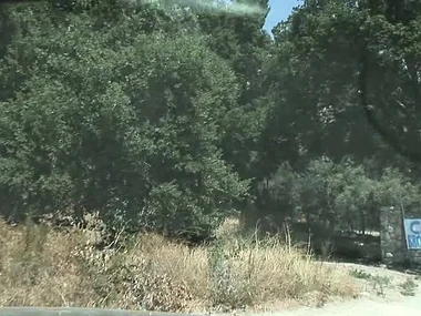 Ashley Blue's outdoor adventure leads to steamy affray adjacent to camp